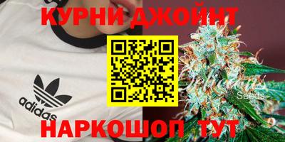 гидропоника Гатчина