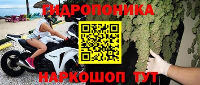 гидропоника Гатчина
