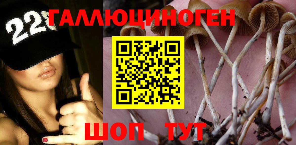 Владивосток  Галлюциногенные грибы ЛСД  как найти наркотики  Вход с VPN 